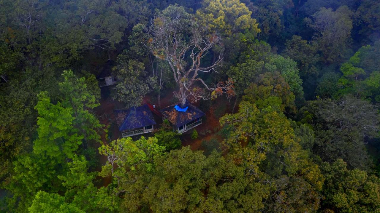 Nature Zone Jungle Resort Munnar Buitenkant foto