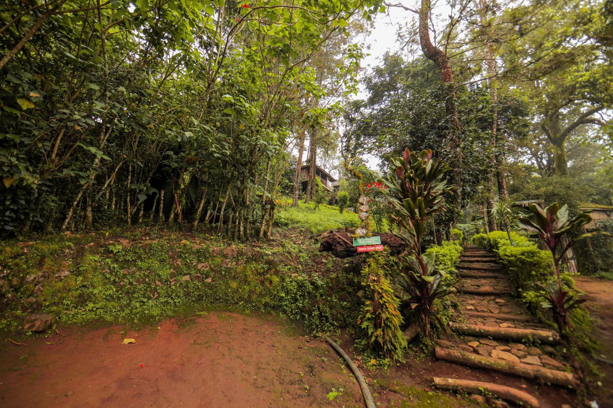 Nature Zone Jungle Resort Munnar Buitenkant foto
